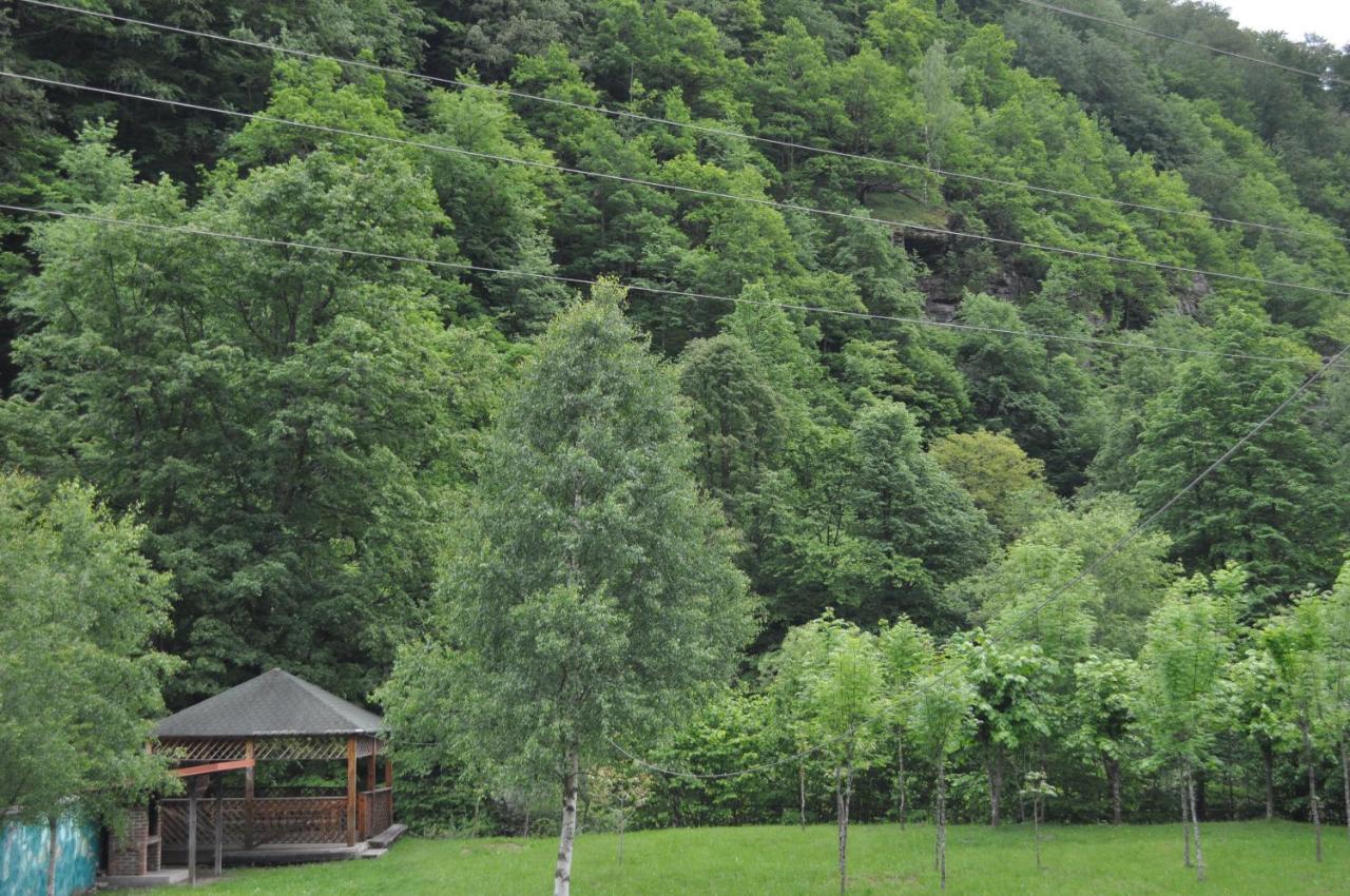 Hotel Casa Verde Rîu de Mori Zewnętrze zdjęcie