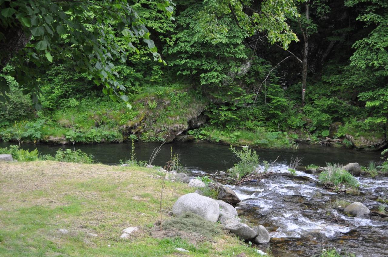 Hotel Casa Verde Rîu de Mori Zewnętrze zdjęcie