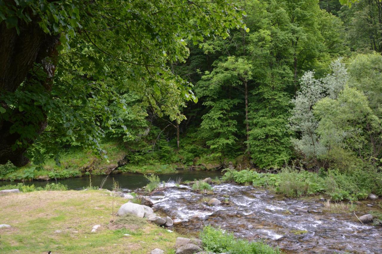 Hotel Casa Verde Rîu de Mori Zewnętrze zdjęcie